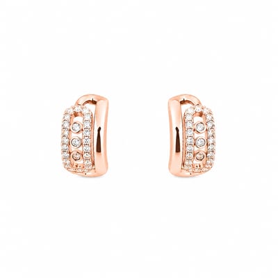 Curved Stone Earring