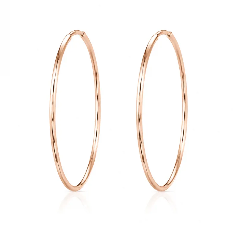 Circle Edge Earring