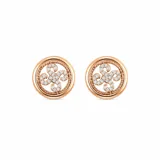 Stonegold Stud Earring view 2