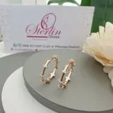 Stone Crest Earrings view 1