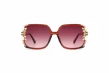 Crystal Lens Sunglasses view 16