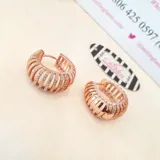 Laser Cut Stoned Earrings view 3