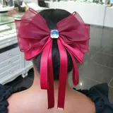 Stoned Hair Clip view 5