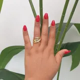 The Binding Ring view 2